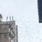'Coin Young Master' Presumably Throws Cash from the Sky in Hong Kong