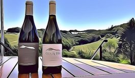 Ernst & Young to Develop a Blockchain Platform to Track and Authenticate Wine Labels