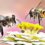 Bringing Bees to the Blockchain: World Bee Project Partners with Oracle for Bee Sustainability