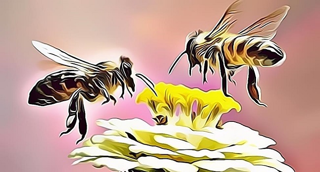 Bee Blockchain Tracking and Monitoring