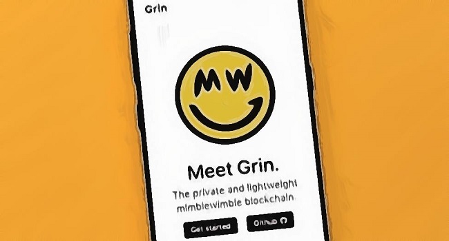 Grin Cryptocurrency Project