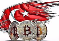 Turkey to Complete Development of National Digital Currency by 2020