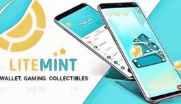 Crypto Gaming Platform Litemint Completes the Acquisition of Stellarport